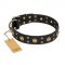 "Cosmic Glow" FDT Artisan Black Leather Bullmastiff Collar with Brass-Plated Studs