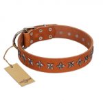 "Star Trek" FDT Artisan Tan Leather Bullmastiff Collar Decorated with Stars
