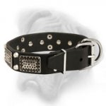 Tremendous Optional Leather Collar for Bullmastiff Breed