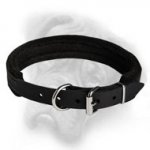 Effective agitation training with fully padded leather dog collar for Bullmastiff breed