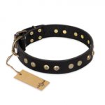"Black Elegance" FDT Artisan Leather Bullmastiff Collar with Round Studs