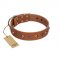 "Silver Age" Fashionable FDT Artisan Tan Leather Bullmastiff Collar with Silver-Like Studs