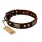 "Magic Amulet" Brown Leather Bullmastiff Collar with Skulls and Plates