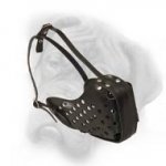 Top quality leather dog muzzle for training and walking