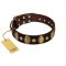 "Retro Pusle" FDT Artisan Brown Leather Bullmastiff Collar with Old Bronze-like Studs and Oval Brooches