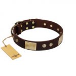 "Middle Age" FDT Artisan Brown Leather Bullmastiff Collar with Old Bronze-Plated Engraved Flowers and Large Plates