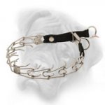 Stainless Steel Bullmastiff Pinch Collar with Click Lock Buckle and Nylon Loop - 1/8 inch (3.2 mm)