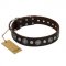 "Victory Ode" FDT Artisan Brown Leather Bullmastiff Collar with Silver-like Plated Decorations