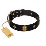 "Star Powder" FDT Artisan Black Leather Bullmastiff Collar with Ovals and Stars - 1 1/2 inch Wide