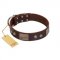 "Stone Stars" Stylish Handmade FDT Artisan Brown Leather Bullmastiff Collar