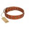 "Faraway Galaxy" FDT Artisan Tan Leather Bullmastiff Collar Adorned with Stars and Squares