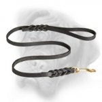 Incredible Leather Bullmastiff Leash