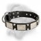 Exclusive trendy decorated dog collar for Bullmastiff breed