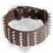 3 inch Spiked and Studded Bullmastiff Collar