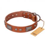 "Sparkling Skull" FDT Artisan Tan Leather Bullmastiff Collar with Old Silver Look Plates and Skulls