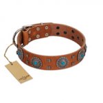 "Blue Sands" FDT Artisan Tan Leather Bullmastiff Collar with Silver-like Studs and Round Conchos with Stones