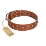 "Enchanted Skulls" FDT Artisan Tan Leather Bullmastiff Collar with Chrome Plated Skulls