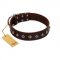 "Boundless Energy" Premium Quality FDT Artisan Brown Designer Leather Bullmastiff Collar with Small Pyramids