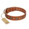 "Natural Beauty" FDT Artisan Tan Leather Bullmastiff Collar with Shining Silver-like Studs