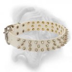 Stylish White Leather Bullmastiff Collar with 3 Rows of Nickel Spikes