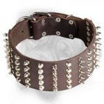 3 inch Spiked and Studded Bullmastiff Collar