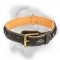 Tremendous Leather Collar for Bullmastiff