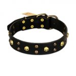 "Heavy Metal" Leather Bullmastiff Collar with Skulls and Studs 1 1/2 inch (40 mm)