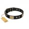 "Antique Gloss" FDT Artisan Black Leather Bullmastiff Collar with Bronze-like Plates and Small Studs