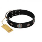 "Blue Gems" FDT Artisan Black Leather Bullmastiff Collar with Chrome Plated Studs and Conchos