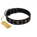 "Black Jack" Stylish Handmade FDT Artisan Black Leather Bullmastiff Collar