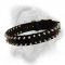 Black Nylon Spiked Dog Collar for Bullmastiff breed