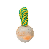 Excellent Dog Training Rubber Ball for Bullmastiff - TT4 Small