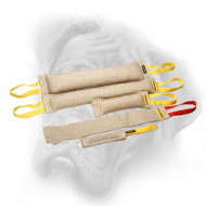 Professional Jute Set of 5 Bite Tugs for Bullmastiff