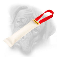 Pocket Puppy Fire Hose Bullmastiff Bite Tug