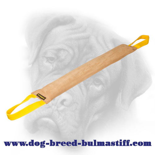 Long Leather Bite Tug for Bullmastiff Advanced Training