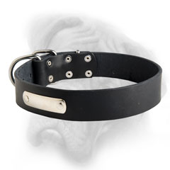 Stylish Leather Dog collar for safety of your Bullmastiff