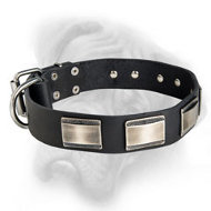Exclusively designed leather dog collar for Bullmastiff breed!