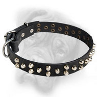 Bullmastiff genuine leather dog collar adorned with 3 rows of pyramids