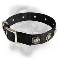 Stylish Nylon Dog Collar for Your Bullmastiff!