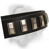 Decorated Dog Collar made of leather for Bullmastiff breed