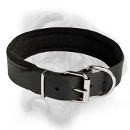 Leather dog collar padded with thick felt for Bullmastiff breed
