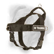 Extra Durable Bullmastiff Dog Harness with ID Patches for training