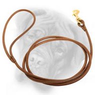 Delicate and Trendy Bullmastiff Leash to Take Part Into Dog Shows