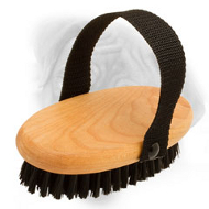 Everyday Combing and Cleaning with Bullmastiff Bristle Brush