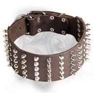 3 inch Spiked and Studded Bullmastiff Collar