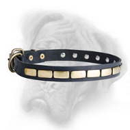 Royal Leather Bullmastiff Collar with Handset Brass Plates