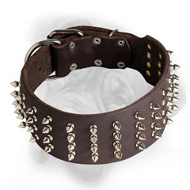 3 Inch Leather Bullmastiff Collar with 4 Rows of Nickel Spikes