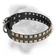 Handcrafted Caterpillar Leather Collar for Bullmastiff