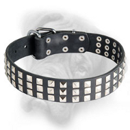Unbelievable Leather Collar for Bullmastiff Breed