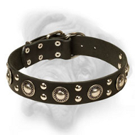 "Rock n Roll" Superior Leather Collar for Bullmastiff Breed